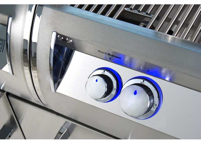 Fire Magic 2020 Echelon Diamond E1060s Cabinet Cart Grill with Power Burner - Analog